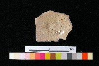 藏品(陶蓋)的圖片