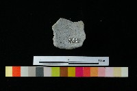 藏品(陶蓋)的圖片