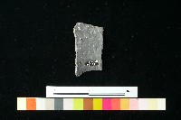 藏品(陶片)的圖片