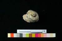 藏品(陶器)的圖片