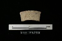 藏品(陶罐)的圖片