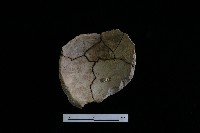 藏品(陶罐)的圖片