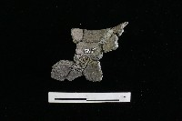 藏品(陶罐)的圖片