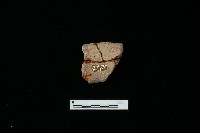 藏品(陶罐)的圖片