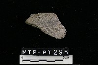 藏品(陶器)的圖片