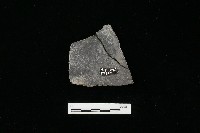 藏品(陶器)的圖片