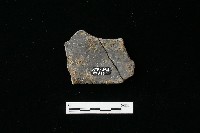 藏品(陶器)的圖片