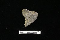 藏品(陶罐)的圖片