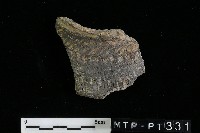 藏品(陶罐)的圖片