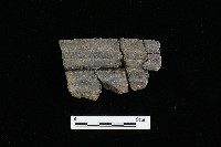 藏品(陶器)的圖片