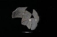 藏品(陶罐)的圖片