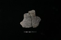 藏品(陶片)的圖片