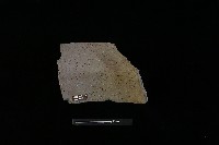 藏品(陶罐)的圖片