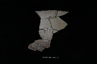 藏品(陶罐)的圖片