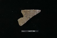 藏品(陶罐)的圖片