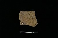 藏品(陶罐)的圖片