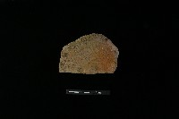 藏品(陶器)的圖片