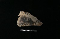 藏品(陶片)的圖片