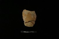 藏品(陶片)的圖片