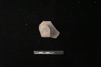 藏品(陶蓋鈕)的圖片
