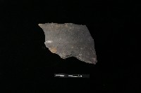 藏品(陶罐)的圖片