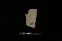 藏品(陶蓋)的圖片