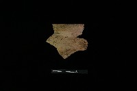 藏品(陶罐)的圖片