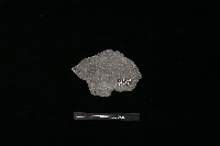 藏品(陶片)的圖片