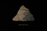 藏品(陶片)的圖片