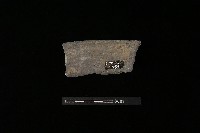 藏品(陶罐)的圖片