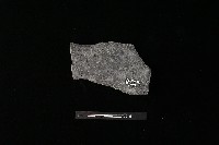 藏品(陶罐)的圖片