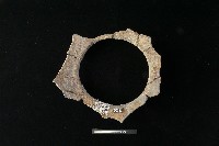 藏品(陶罐)的圖片