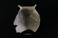 藏品(陶罐)的圖片