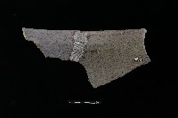 藏品(陶罐)的圖片