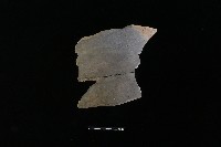 藏品(陶罐)的圖片