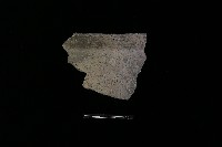 藏品(陶罐)的圖片