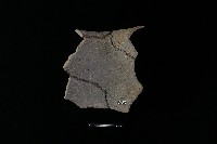 藏品(陶罐)的圖片