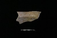 藏品(陶罐)的圖片