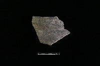 藏品(陶罐)的圖片