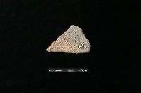 藏品(陶片)的圖片