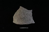 藏品(陶片)的圖片