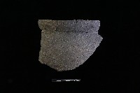 藏品(陶片)的圖片