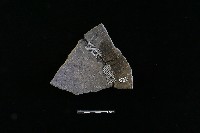 藏品(陶片)的圖片