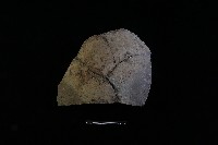 藏品(陶片)的圖片