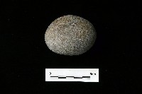 藏品(石托)的圖片