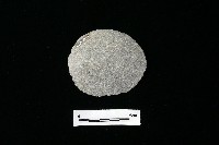 藏品(石片器)的圖片