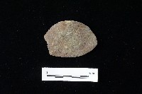 藏品(石片器)的圖片