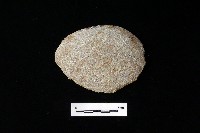 藏品(石片器)的圖片