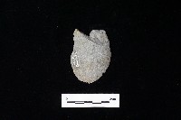 藏品(石片器)的圖片