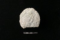藏品(石片器)的圖片